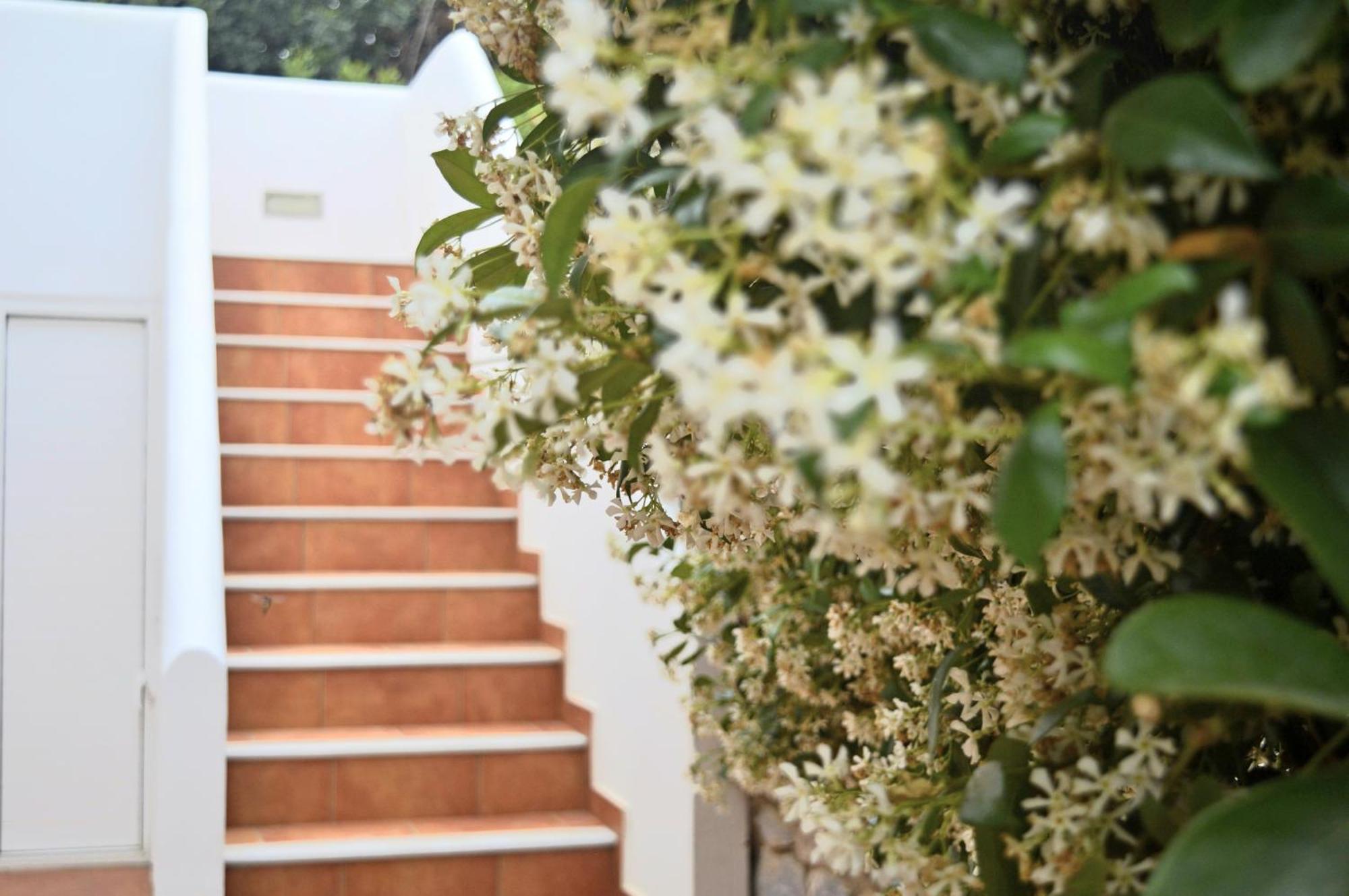 Malvazios Villas #7 Гитион Экстерьер фото